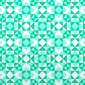 Meet your Posher, Fariha